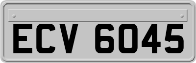 ECV6045