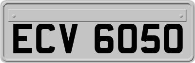 ECV6050