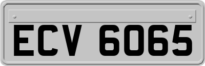 ECV6065