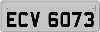 ECV6073
