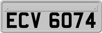 ECV6074