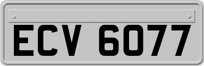 ECV6077