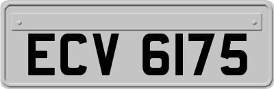 ECV6175
