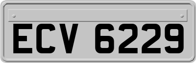 ECV6229