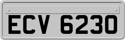 ECV6230