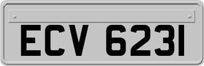 ECV6231