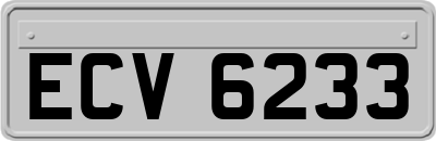 ECV6233