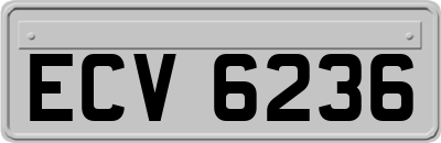 ECV6236
