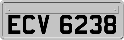 ECV6238
