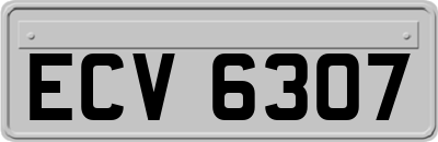 ECV6307