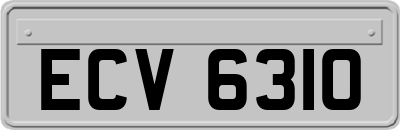 ECV6310