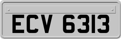 ECV6313