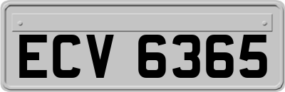 ECV6365