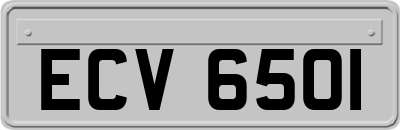 ECV6501
