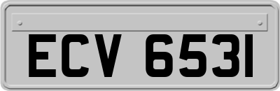 ECV6531
