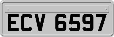 ECV6597