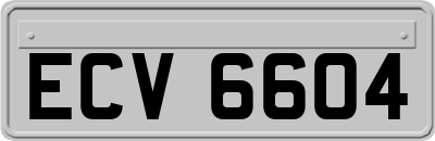 ECV6604