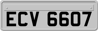 ECV6607
