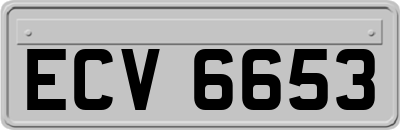 ECV6653