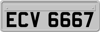 ECV6667