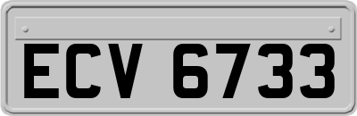 ECV6733