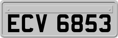 ECV6853