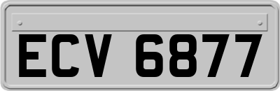 ECV6877