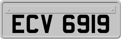 ECV6919