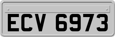 ECV6973