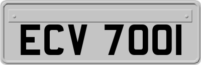 ECV7001