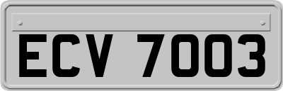 ECV7003
