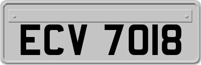 ECV7018