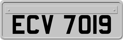 ECV7019
