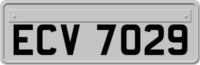 ECV7029