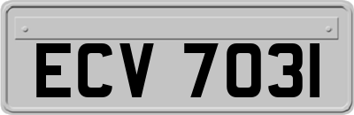 ECV7031