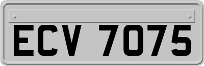 ECV7075