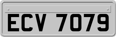 ECV7079
