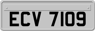 ECV7109