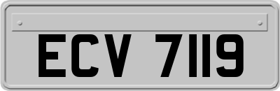 ECV7119