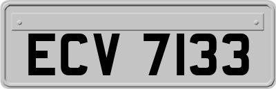 ECV7133
