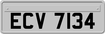 ECV7134