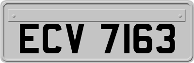 ECV7163