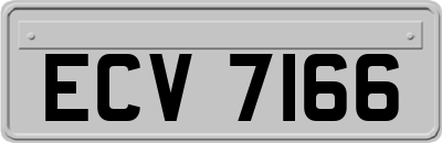 ECV7166