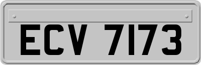 ECV7173