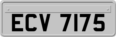 ECV7175
