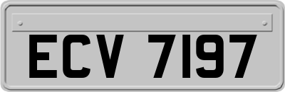 ECV7197