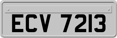 ECV7213