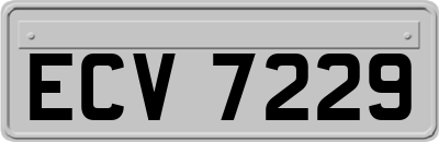 ECV7229