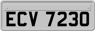 ECV7230