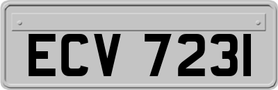 ECV7231